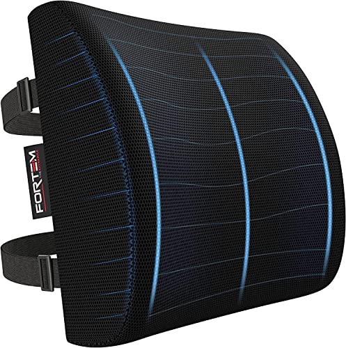 Coussin support lombaire FORTEM